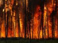 Incêndios: Afetados nas regiões Norte e Centro têm até 30 de setembro para cumprir obrigações fiscais