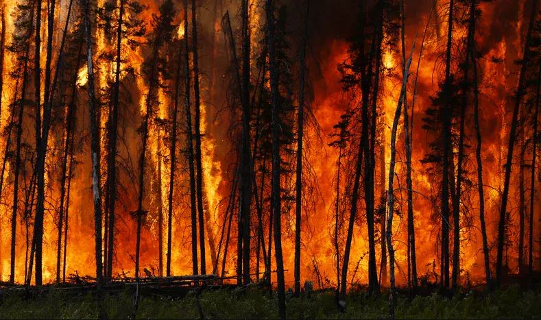 Incêndios: Afetados nas regiões Norte e Centro têm até 30 de setembro para cumprir obrigações fiscais